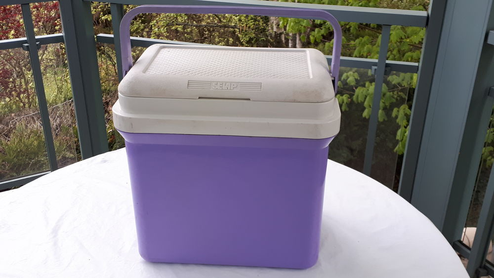 Glaci&egrave;re 24 litres avec 1 pain de glace Jardin