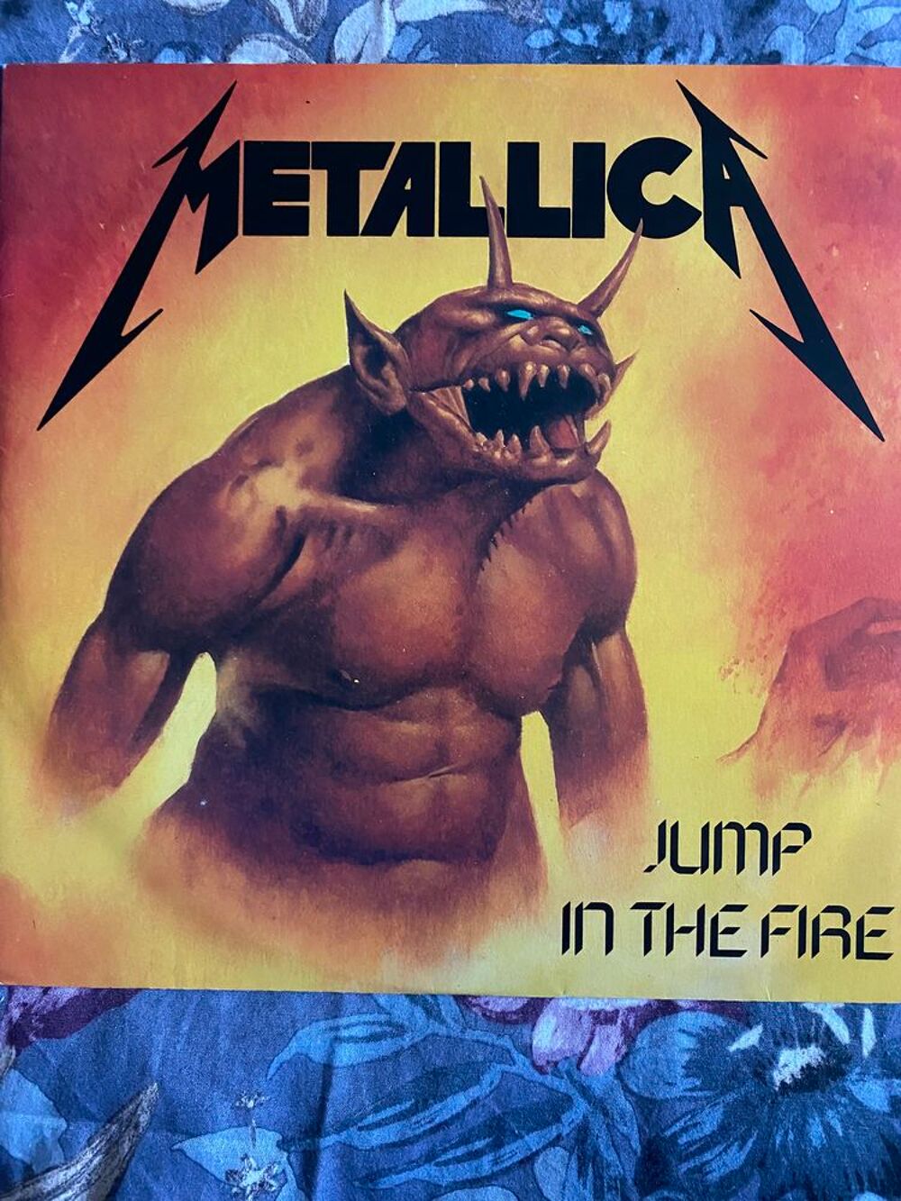 Vinyles hard rock / M&eacute;tal CD et vinyles