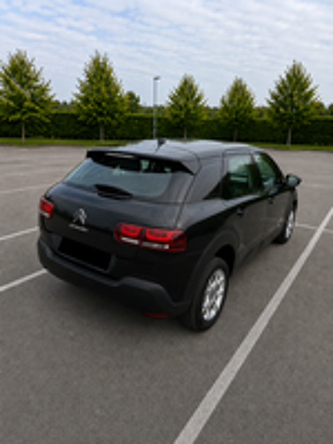 C4 cactus C4 Cactus BlueHDi 100 S&S BVM6 Feel Business 2019 occasion 59600 Maubeuge