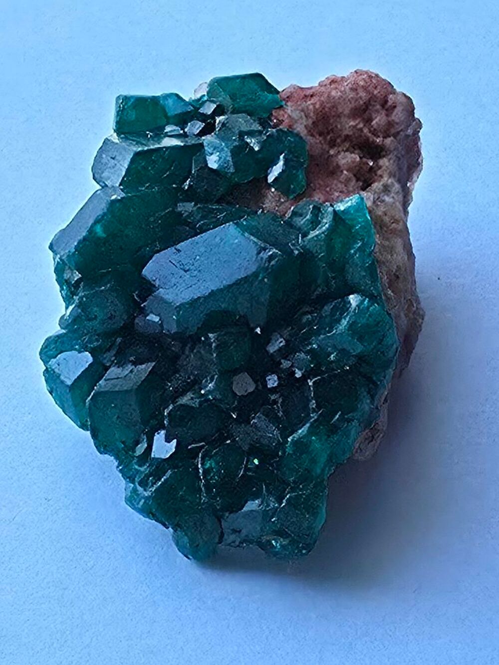 Splendide Dioptase sur Matrice-Katanga, RDC-12g 