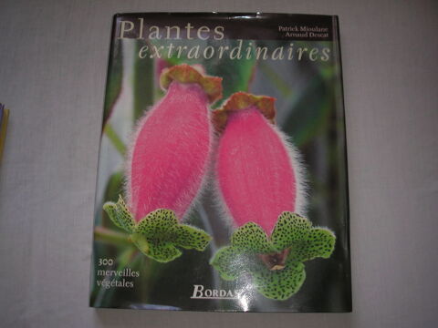 Plantes extraordinaires 30 Laize-la-Ville (14)