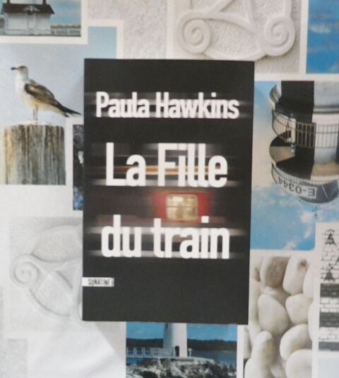 THRILLER LA FILLE DU TRAIN de Paula HAWKINS 5 Bubry (56)