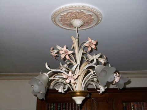 Lustre 
70 Bois-d'Arcy (78)