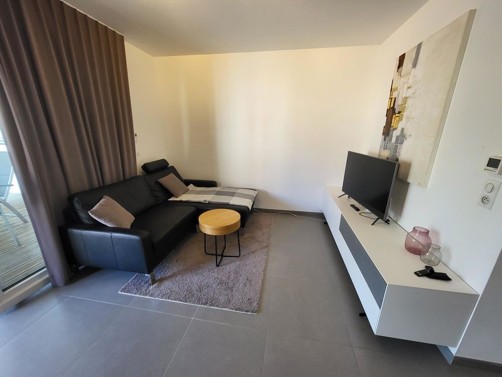 Location Appartement Appartement meublé à Huningue Huningue
