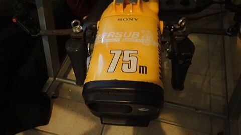 caisson de plong�e avec camera HANDY CAM ZOOM ZEISS VARIO 
100 Seyssel (74)