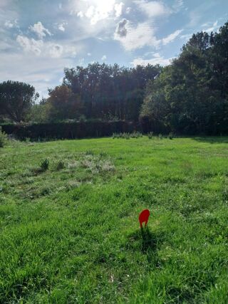  Terrain à vendre 985 m²