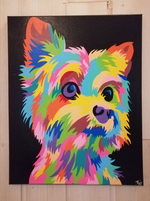 Toile POPART YORKSHIRE 75 Sbazac-Concours (12)