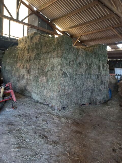 Foin 2 35640 Martign-ferchaud