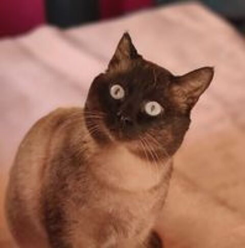   HERCO 