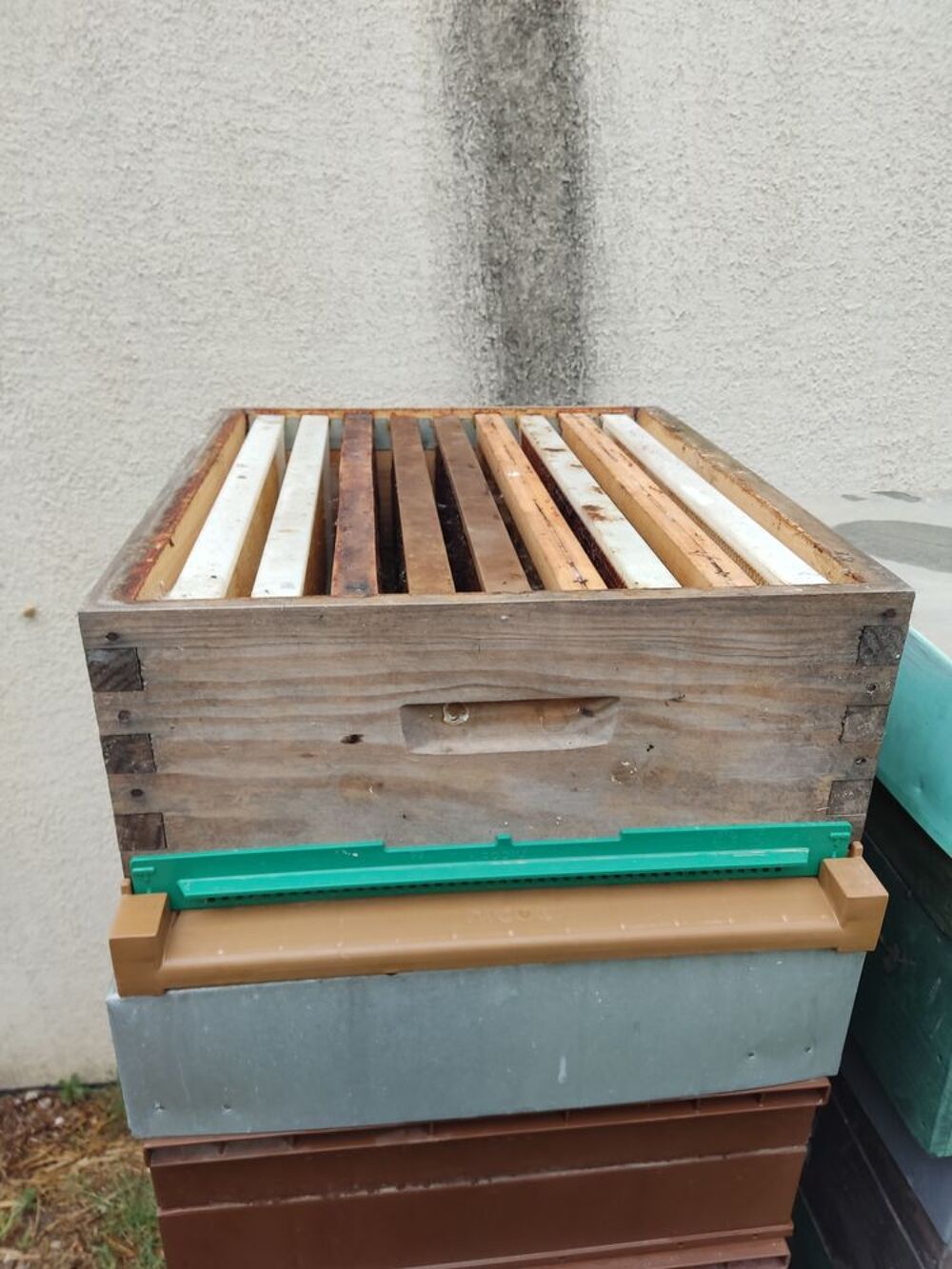 Hausse d'occasion DADANT Bricolage