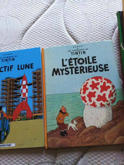 +tintin 80 Toulouse (31)