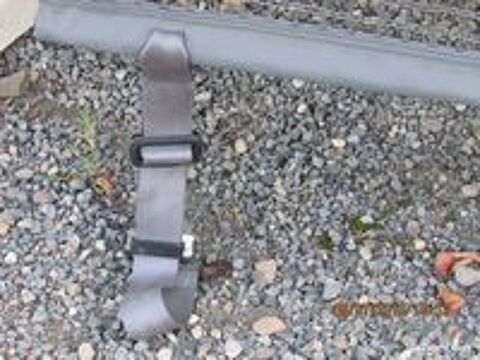   Filet de protection pour voiture 