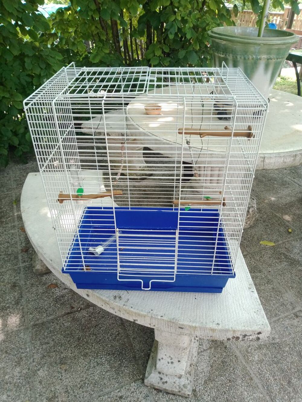 cage a oiseaux bon etat Jardin