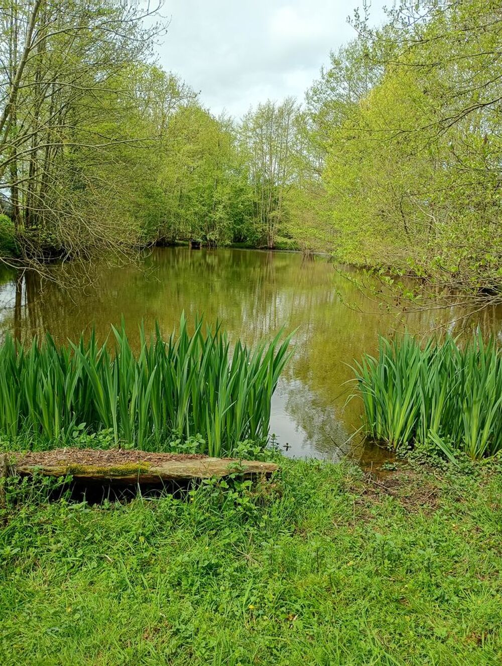 Vente Terrain Terrain loisir, agricole, boisé Maisoncelles-du-maine