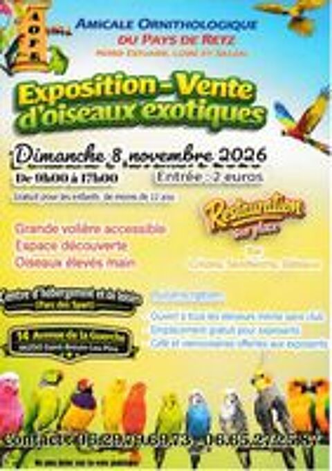   CANARIS, PERROQUETS,PERRUCHES, ETC...... 
