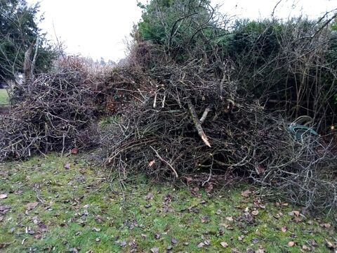 &Eacute;vacuation des branchages 0 95600 Eaubonne