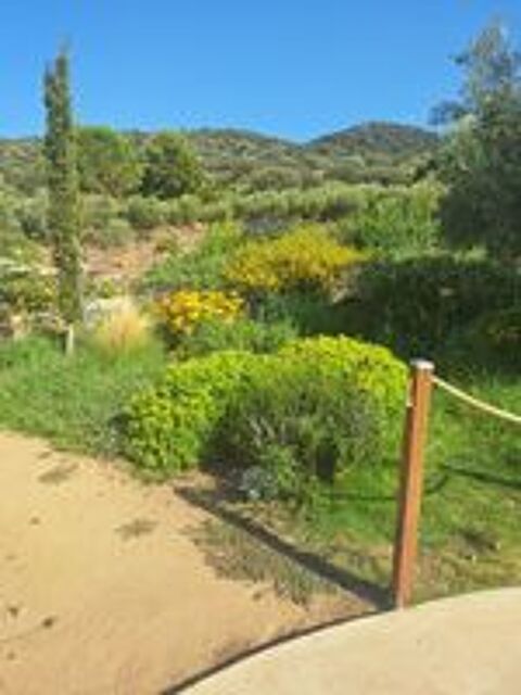   Jardinier Expert avec 5 ans d'expérience sur albi  