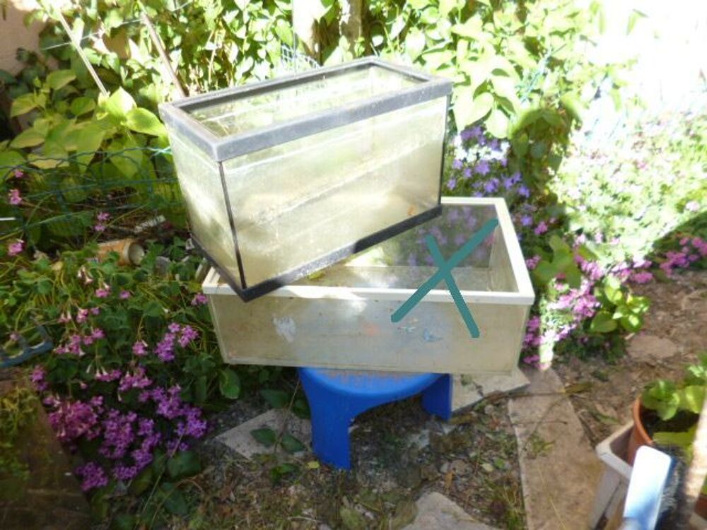 Achetez aquariums et cage occasion, annonce vente à Martigues (13) WB169795399