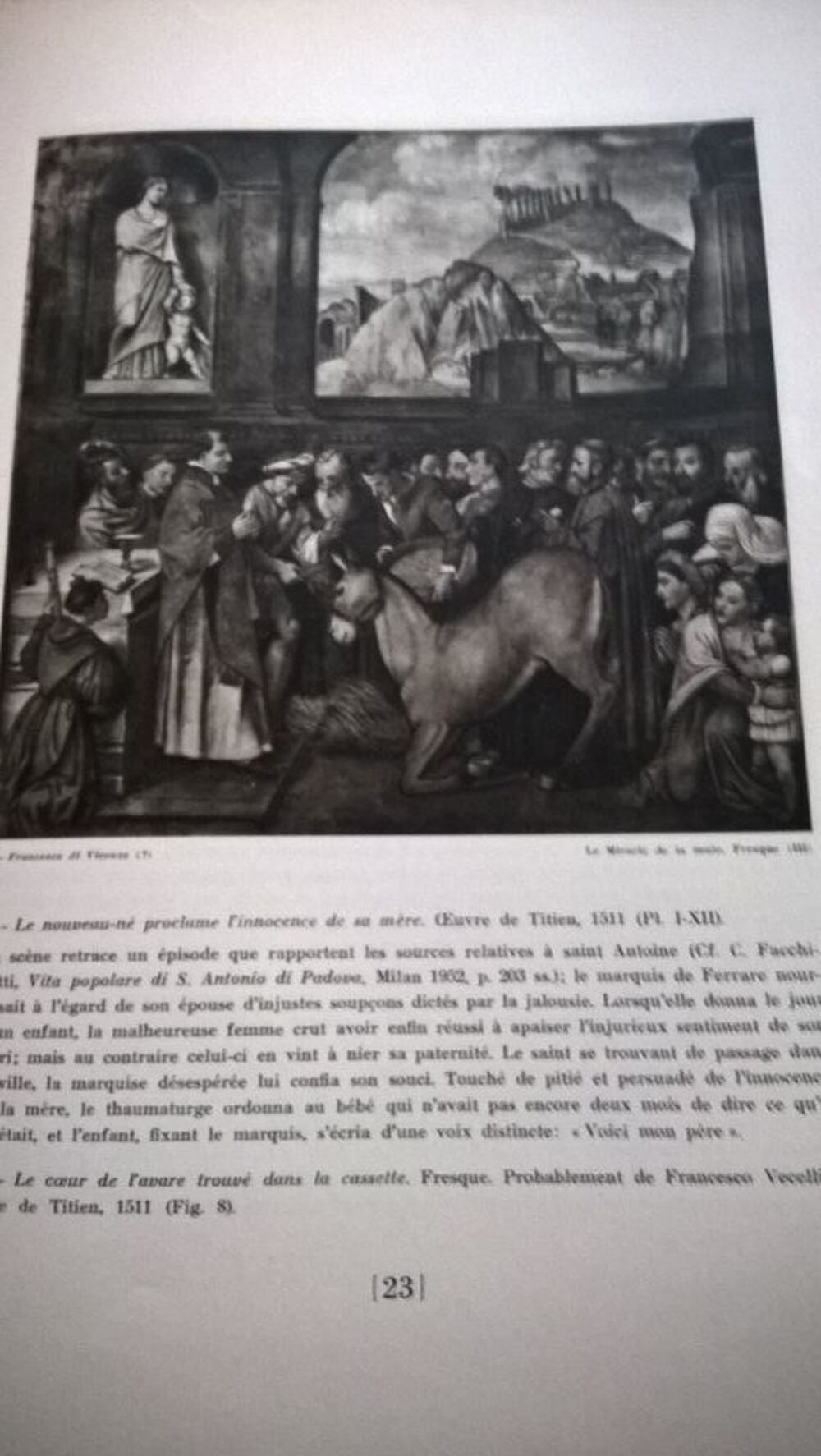 TITIEN LES FRESQUES DE LA SCUOLA DEL SANTO A PADOUE 650 Livres et BD