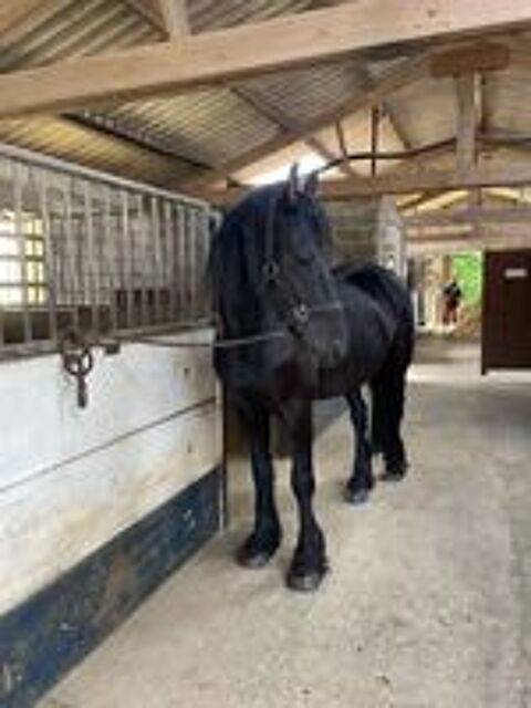   Ongles frison 8 ans 
