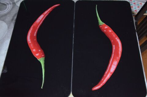 protge-plaque de cuisson en verre Wenko 20 Lorient (56)