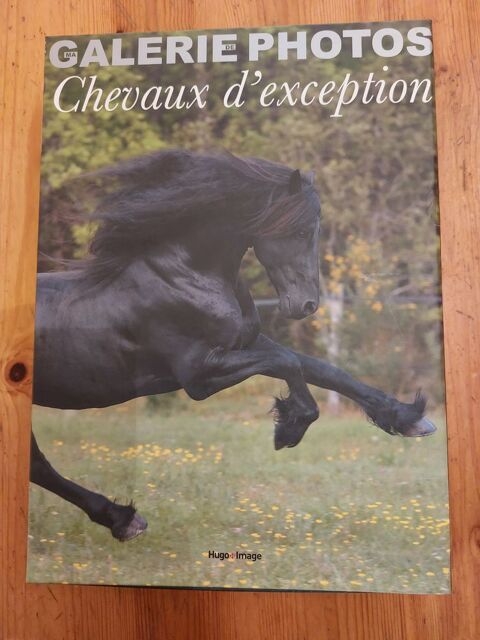 Coffret galerie Photos Chevaux 0 Metz (57)