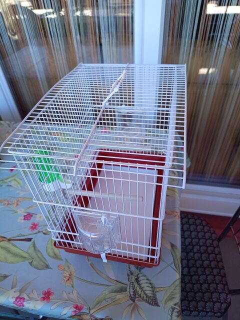 Cage oiseau 10 13220 Ch�teauneuf-les-martigues