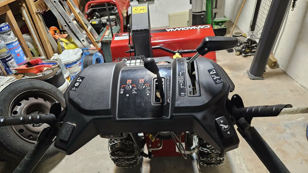 FRAISE A NEIGE CANADIAN BRIGGS &amp; STRATTON Jardin