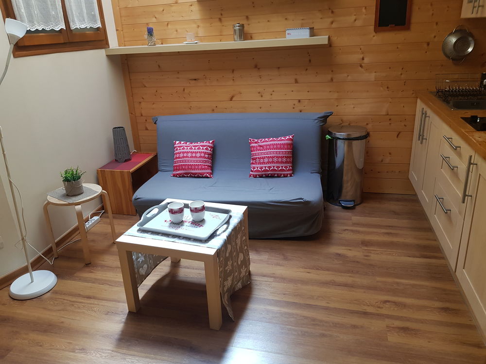 Location Appartement CHAMBERY CENTRE 2P lumineux calme cosy et confortable Chambéry