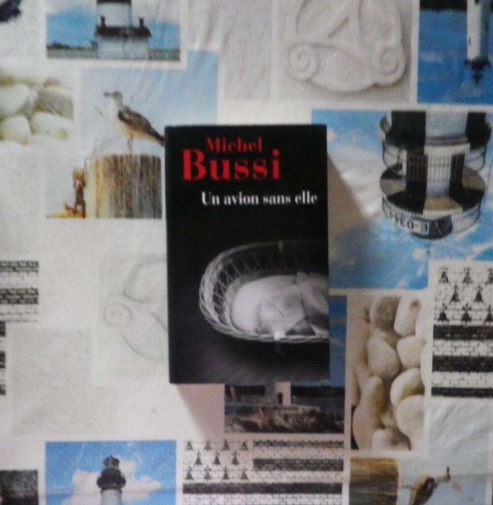 UN AVION SANS ELLE de Michel BUSSI Ed. France Loisirs Livres et BD