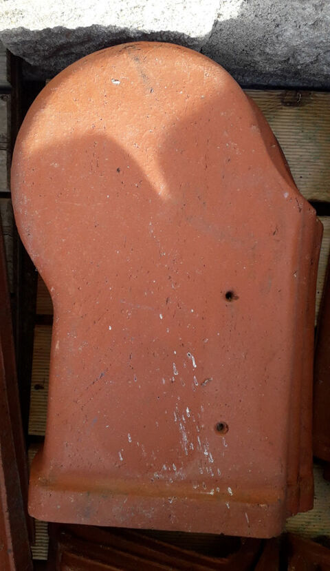 TUILES ST FOY 10 Saint-Germain-Laprade (43)