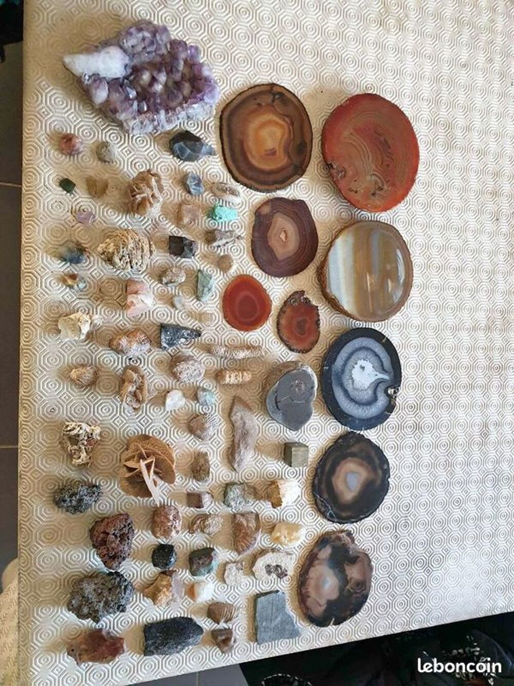 Collection de pierres et fossiles 