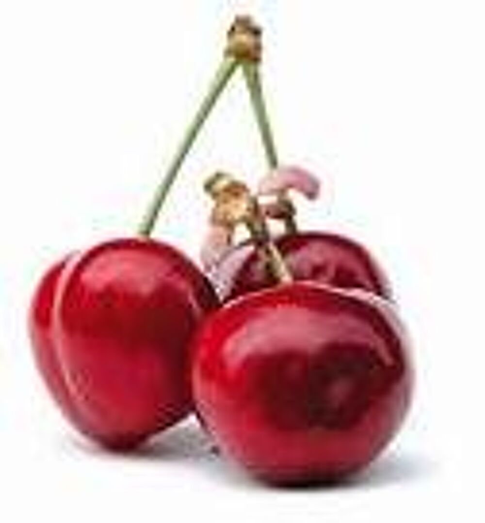 1 plant de cerisier,cerise de montmorency
Jardin