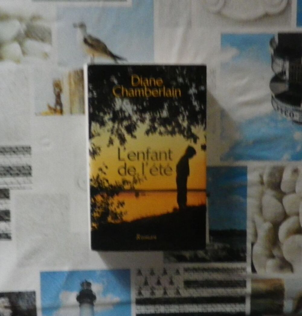 L ENFANT DE L ETE de Diane CHAMBERLAIN Ed. France Loisirs Livres et BD