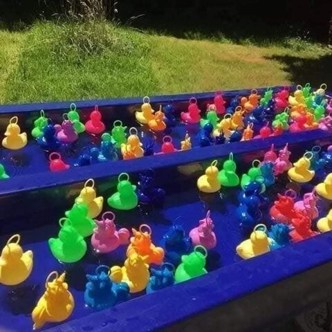 p&ecirc;che aux canards et licorne 0 13127 Vitrolles