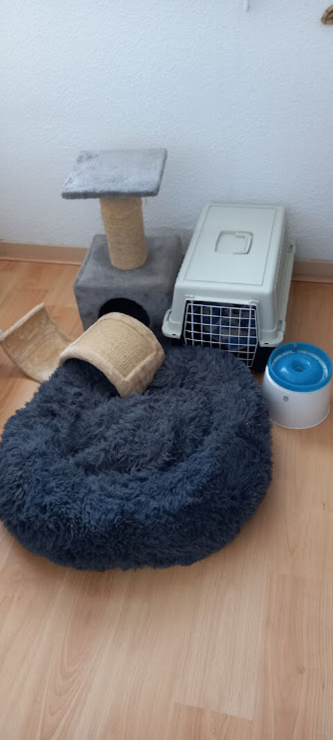 accessoires chat 40 17570 La palmyre