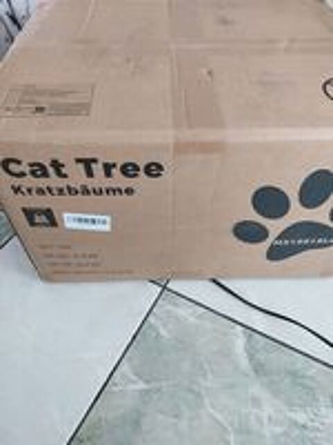   arbre à chat 