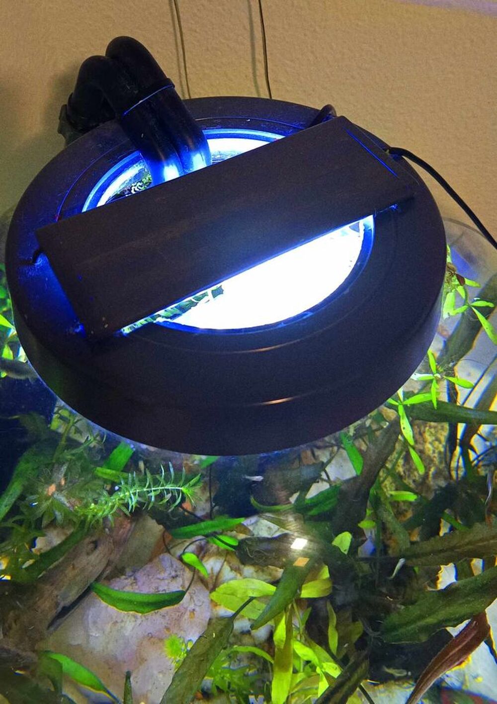   Biorb 60 litres quip d'une pompe externe JBL et de led  
