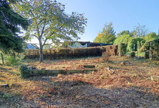  Terrain à vendre 650 m²