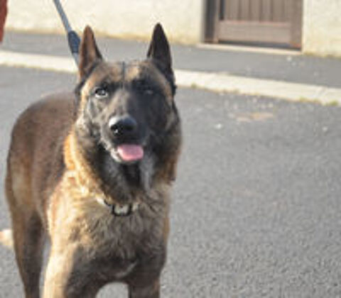   Titoune cherche une vraie famille 