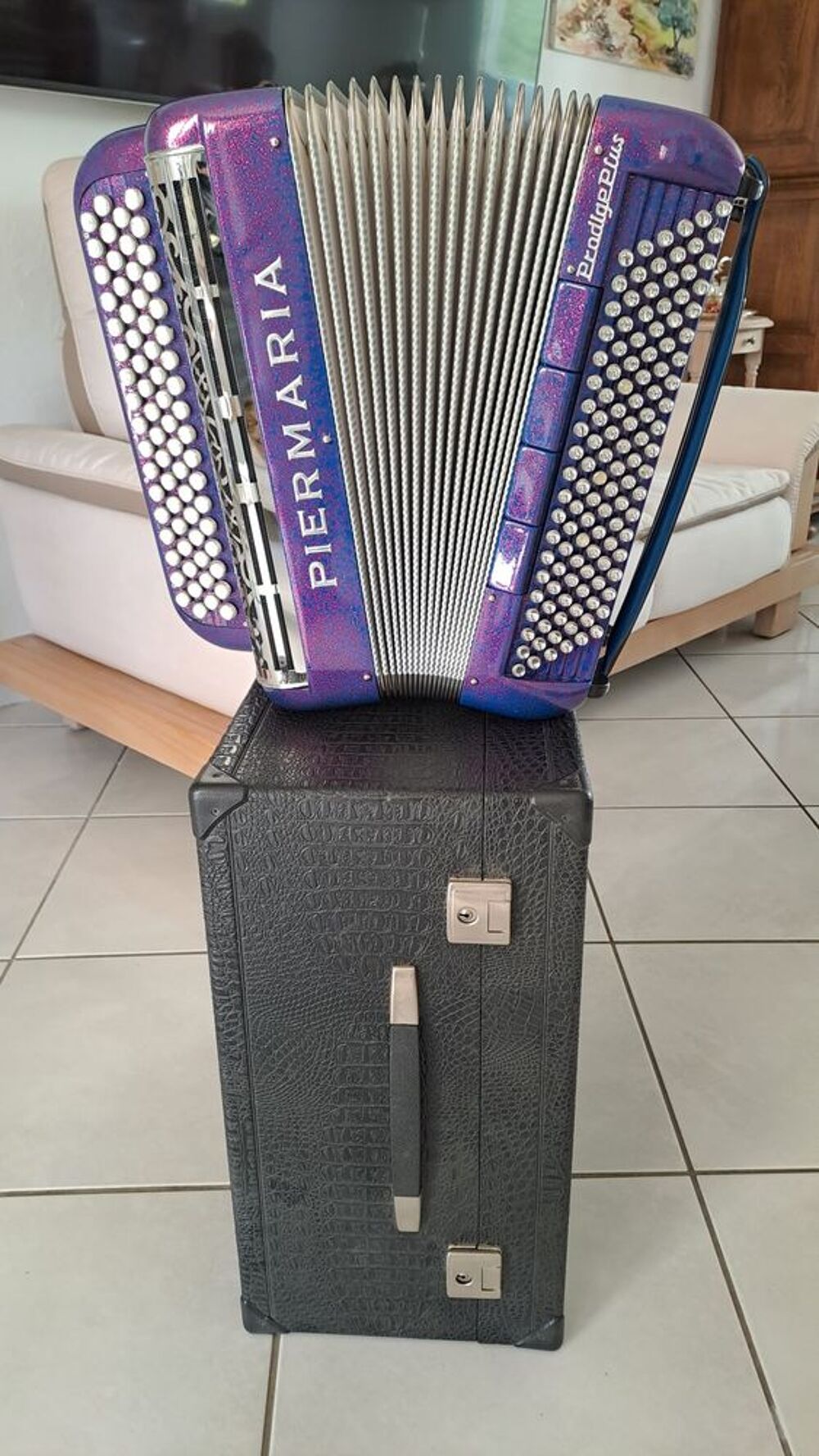 Accord&eacute;on acoustique PIERMARIA Instruments de musique