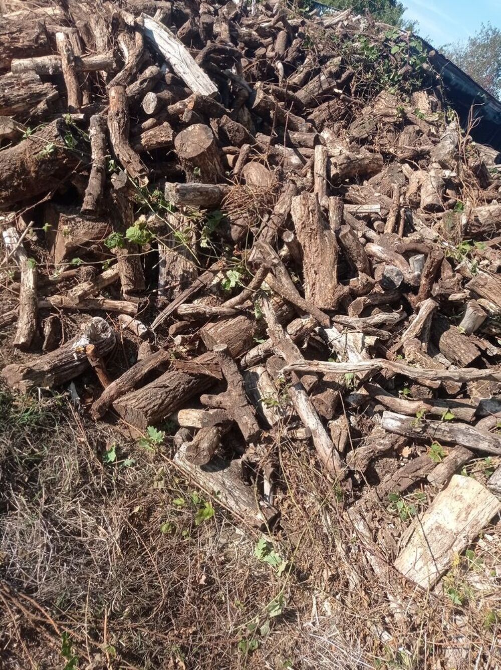 Bois de chauffage Bricolage