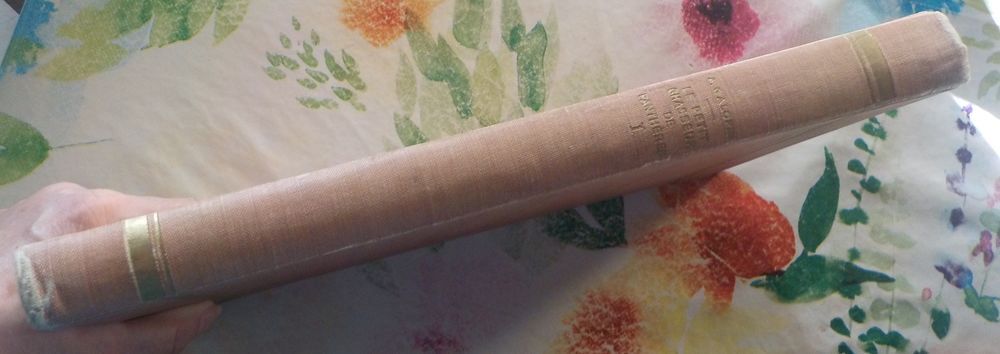 LE PETIT CHASSEUR DE PANTHERES N&deg;1 &agrave; 50 1928 ARNOULD GALOPIN Livres et BD