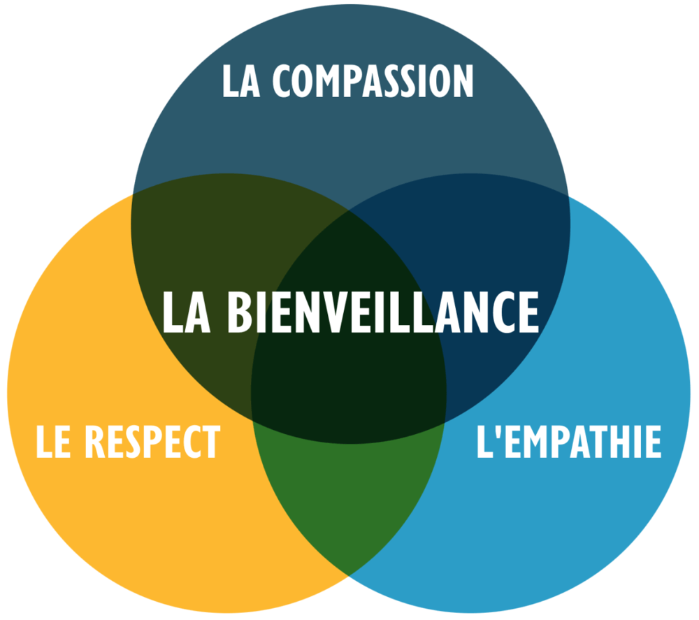   Assistante de vie Diplômée  