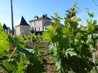  Propriété/château à vendre 10 pièces 400 m²