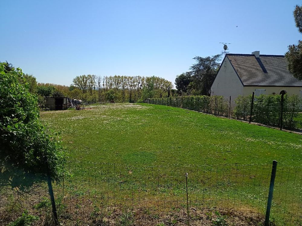 Vente Terrain TERRAIN DE 1961 M2 Loireauxence