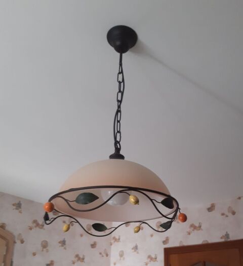 Lustre suspension 20 Beaumont (63)