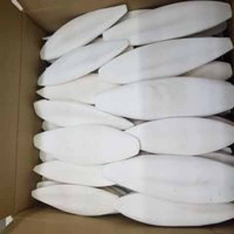  Os de seiche 18-24cm pour oiseaux ou tortues 