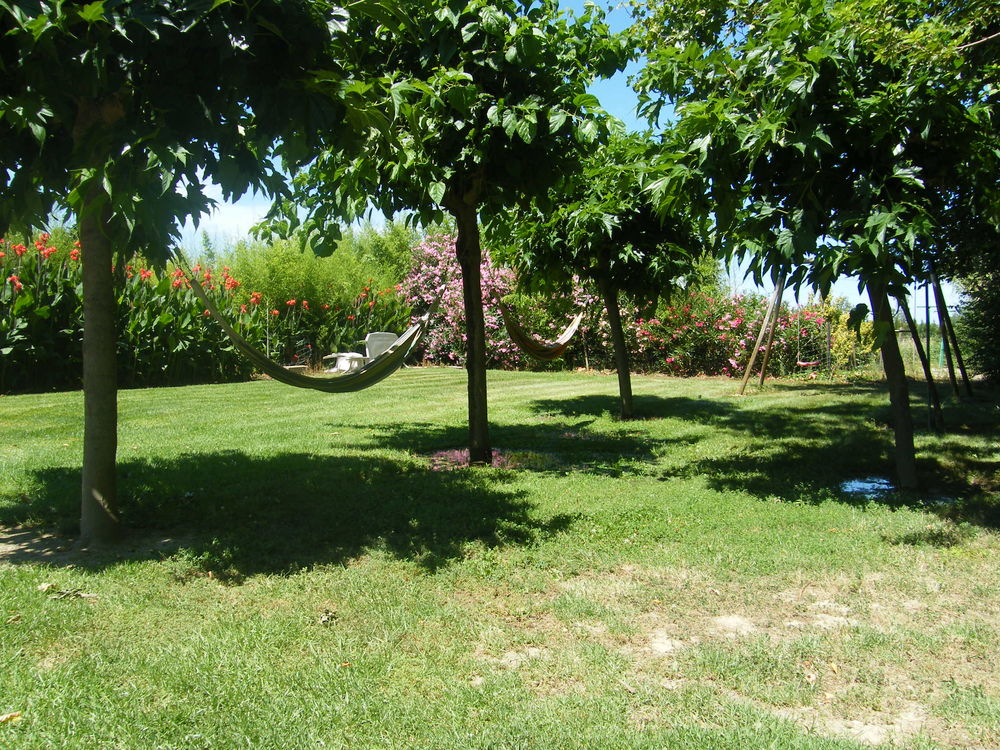   proche mer wifi animaux chéques vacances 3000m2 jardin  Languedoc-Roussillon, Argelès-sur-Mer (66700)