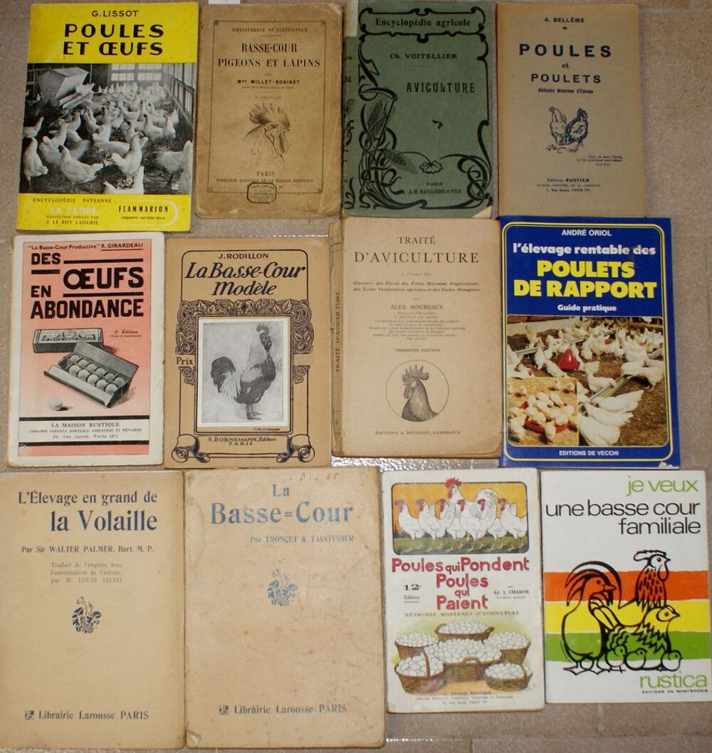 12 livres poule basse-cour Livres et BD